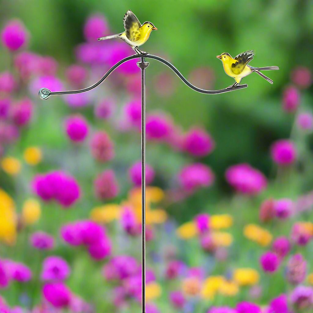 Backyard Balancing Fluttering Yellow Finches
