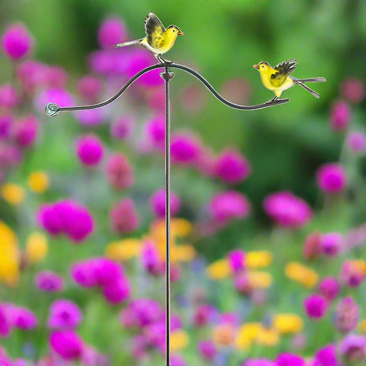 Backyard Balancing Fluttering Yellow Finches