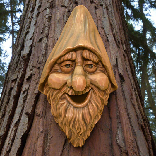 Birdhouse Face Harry