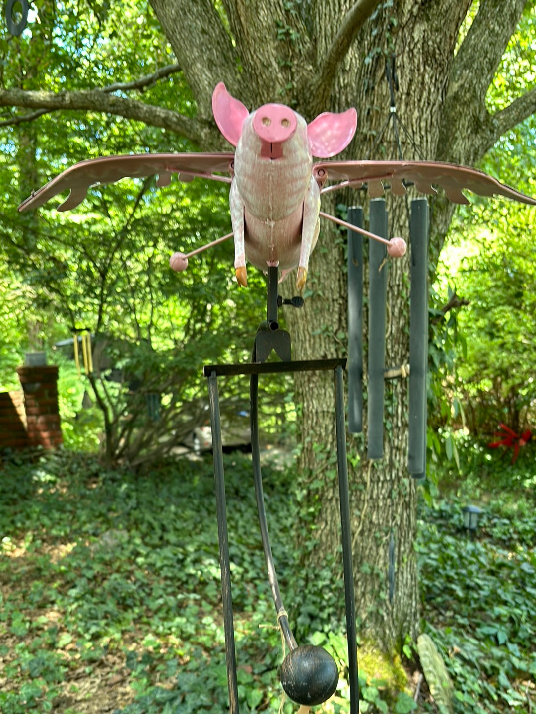 The Pink Rocker Balancing Flying Pig