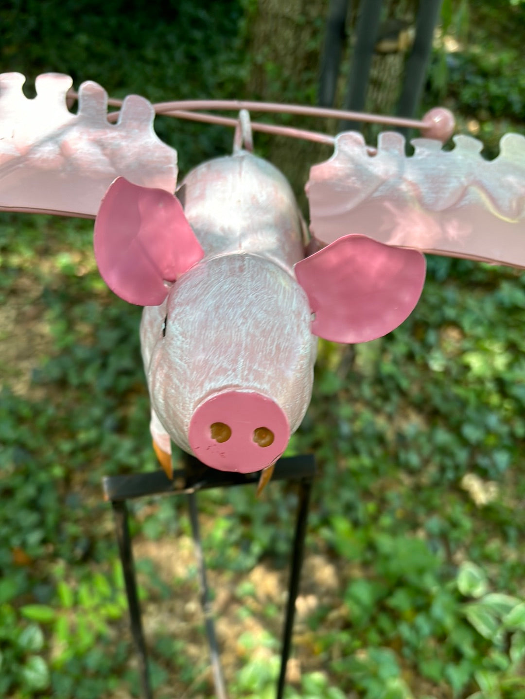 The Pink Rocker Balancing Flying Pig