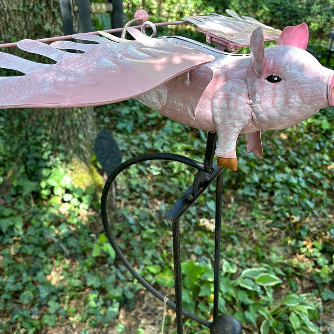 The Pink Rocker Balancing Flying Pig