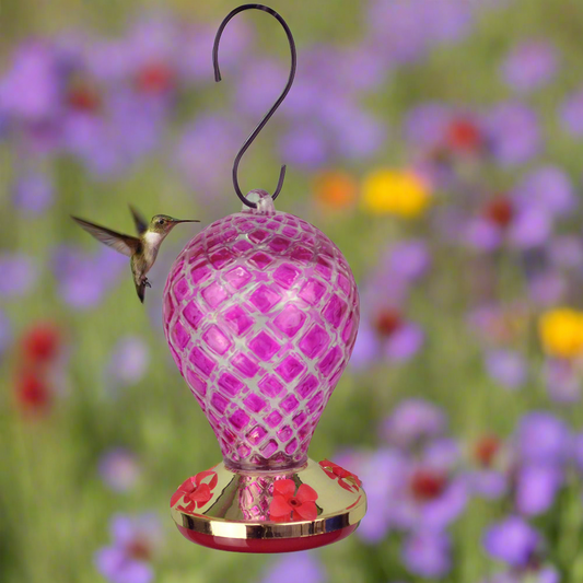 Hummingbird Feeder Balloon Purple