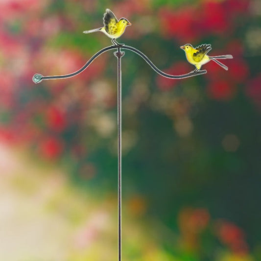 Backyard Balancing Fluttering Yellow Finches