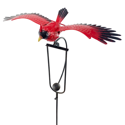 Rocker Cardinal Small