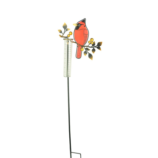 Rain Gauge Cardinal on Branch