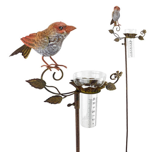 Rain Gauge Cardinal