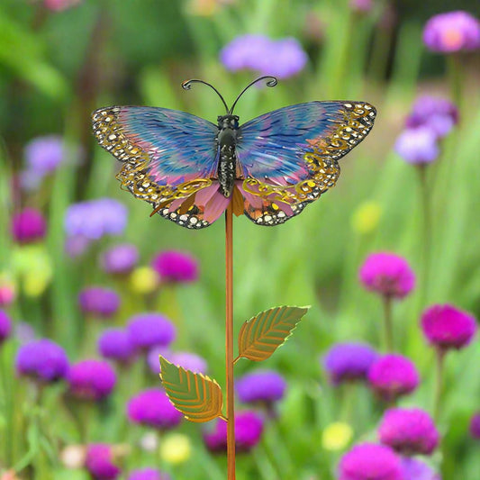 Balancer Blue and Gold Ornate Butterfly